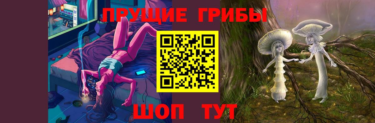 Лобня  Псилоцибиновые грибы Cubensis  Вход с VPN  Псилоцибиновые грибы мухоморы 